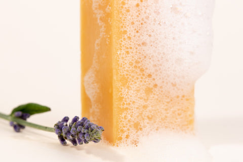 Texture du Shampoing Lavande solide